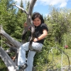 Blaise in a tree!